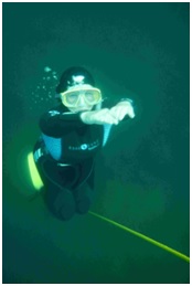 Apnea Diving International
