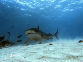 1775546567_WhatsApp_Image_2026-02-06_at_11_11_20