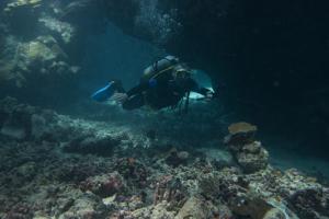 1578559295_2019_safari_Egypt_lowres-38